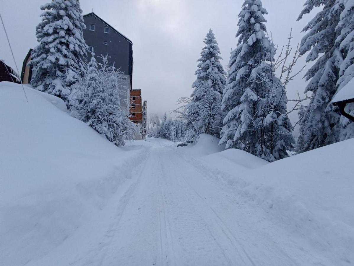 Nest Apartment Núi Núi Jahorina Ngoại thất bức ảnh
