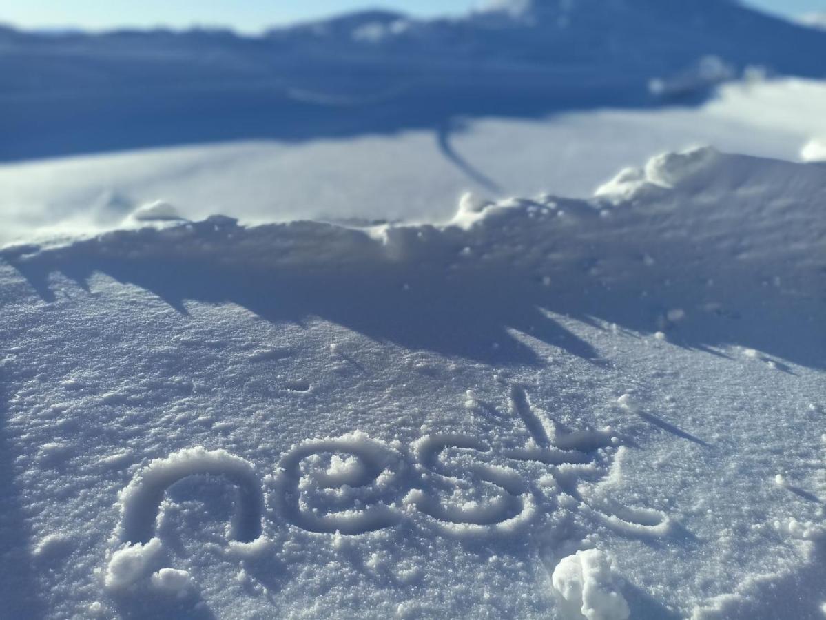 Nest Apartment Núi Núi Jahorina Ngoại thất bức ảnh